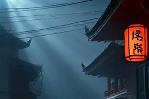 《玻璃温室》玻璃顶棚下的植物架